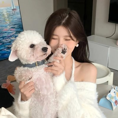 无为大师第三季