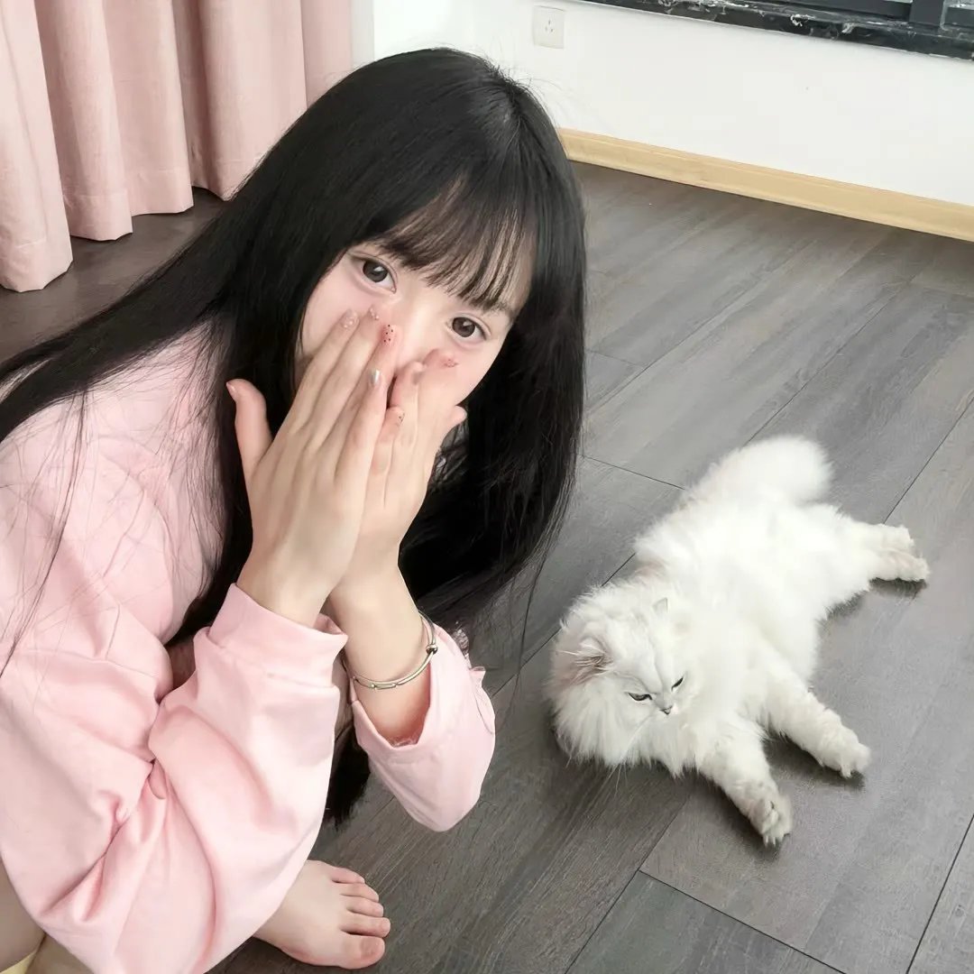 鲨人树儿